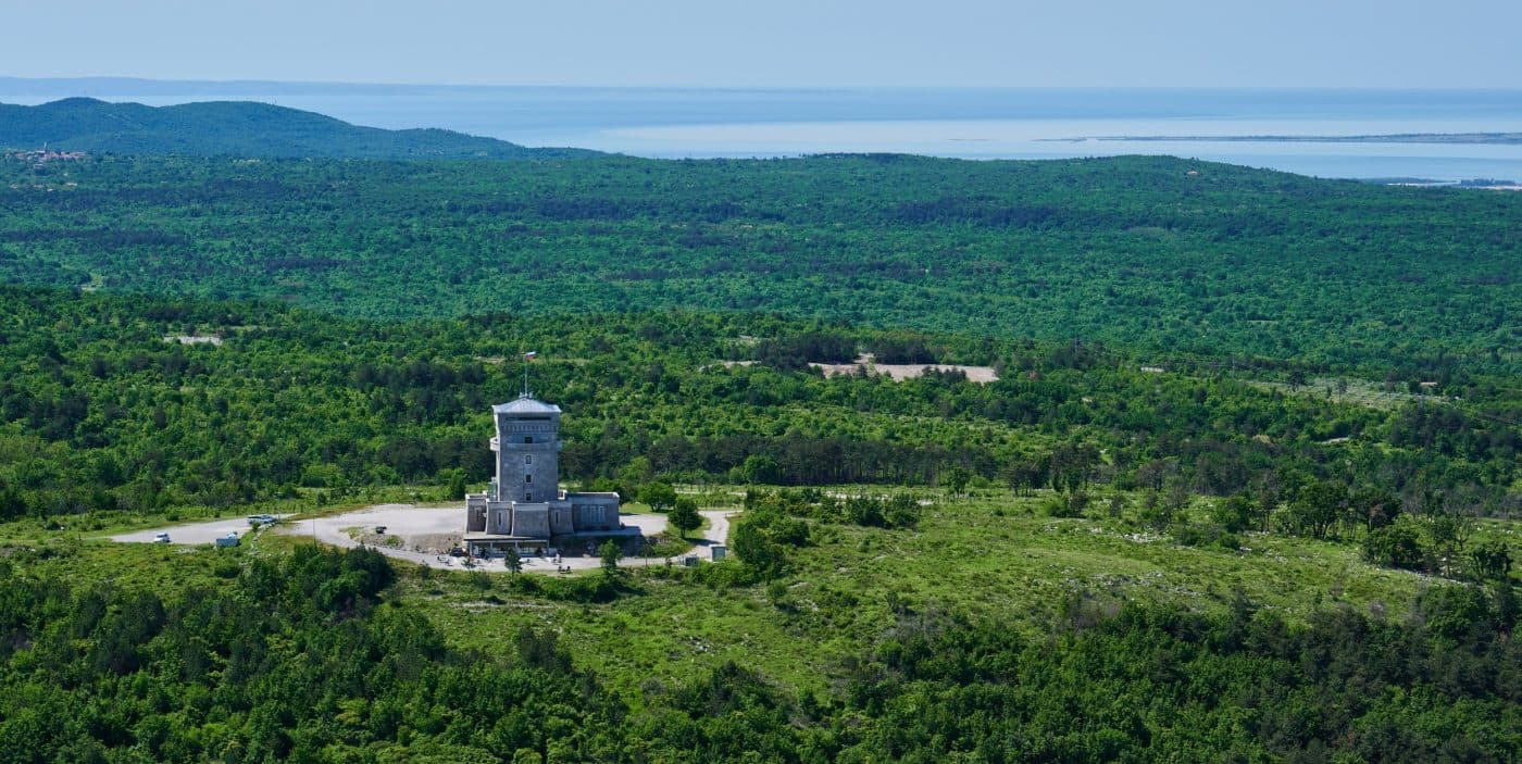 Upupa Extra Virgin Olive Oil