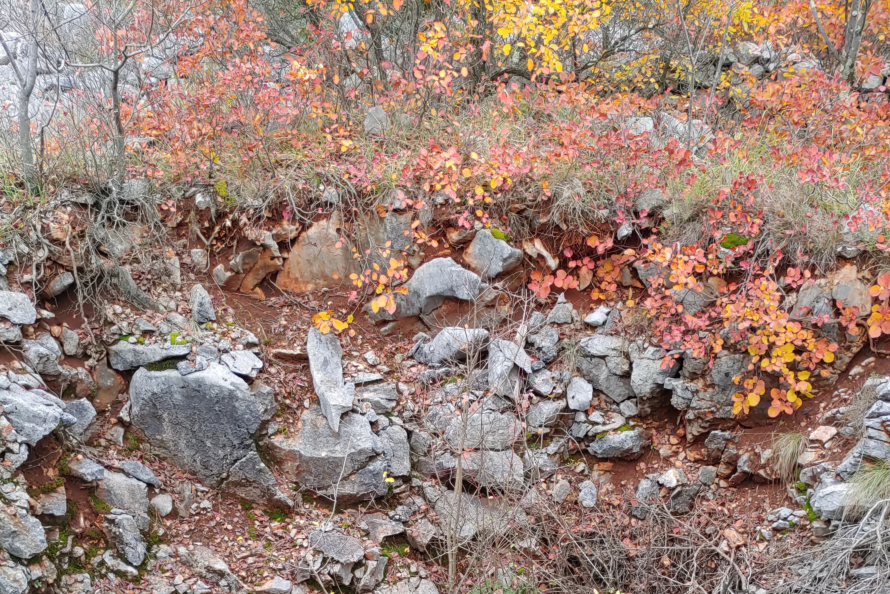 Prerez kraškega pretežno kamnitega površja.