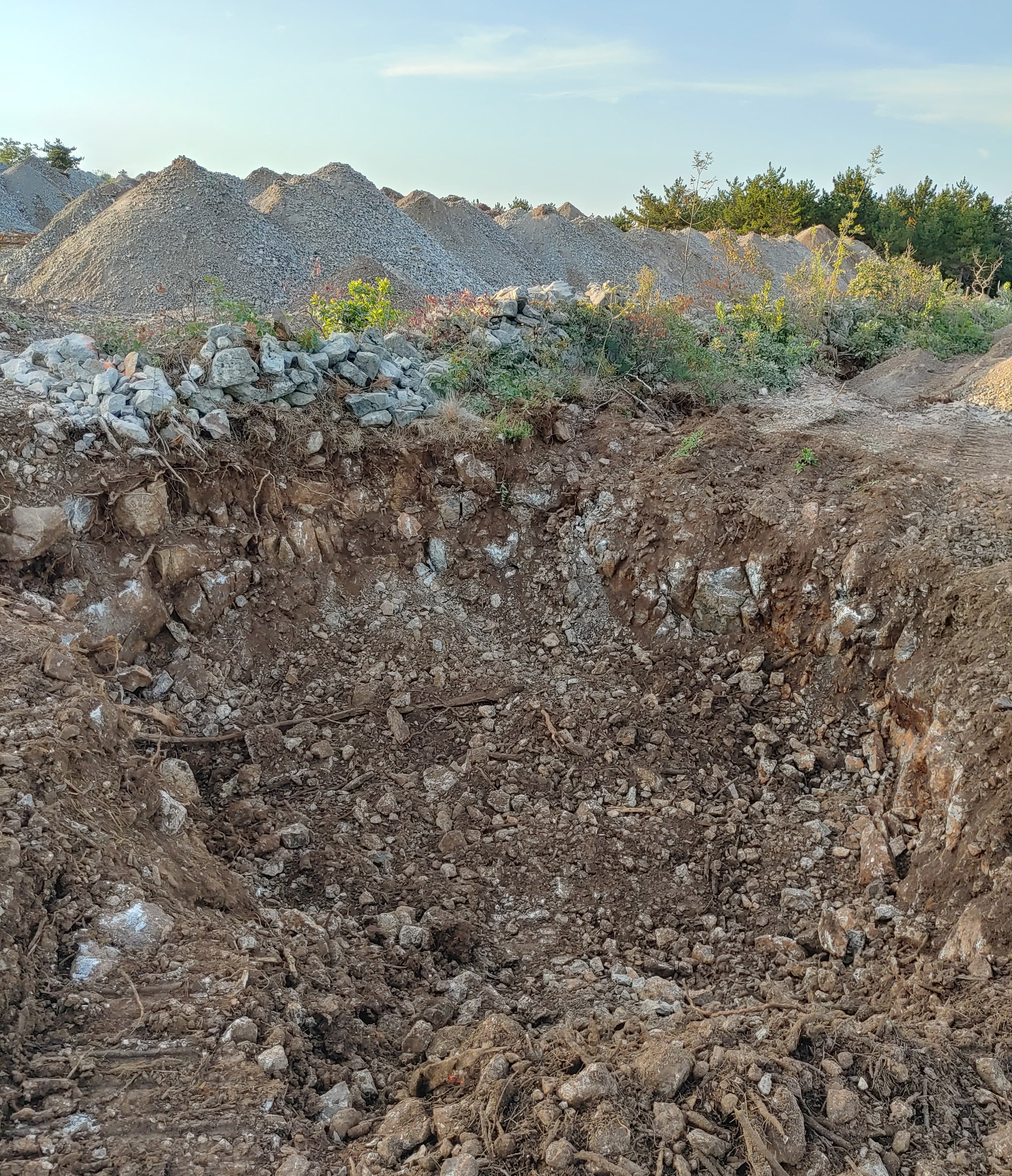 Velika sadilna jama za oljko.