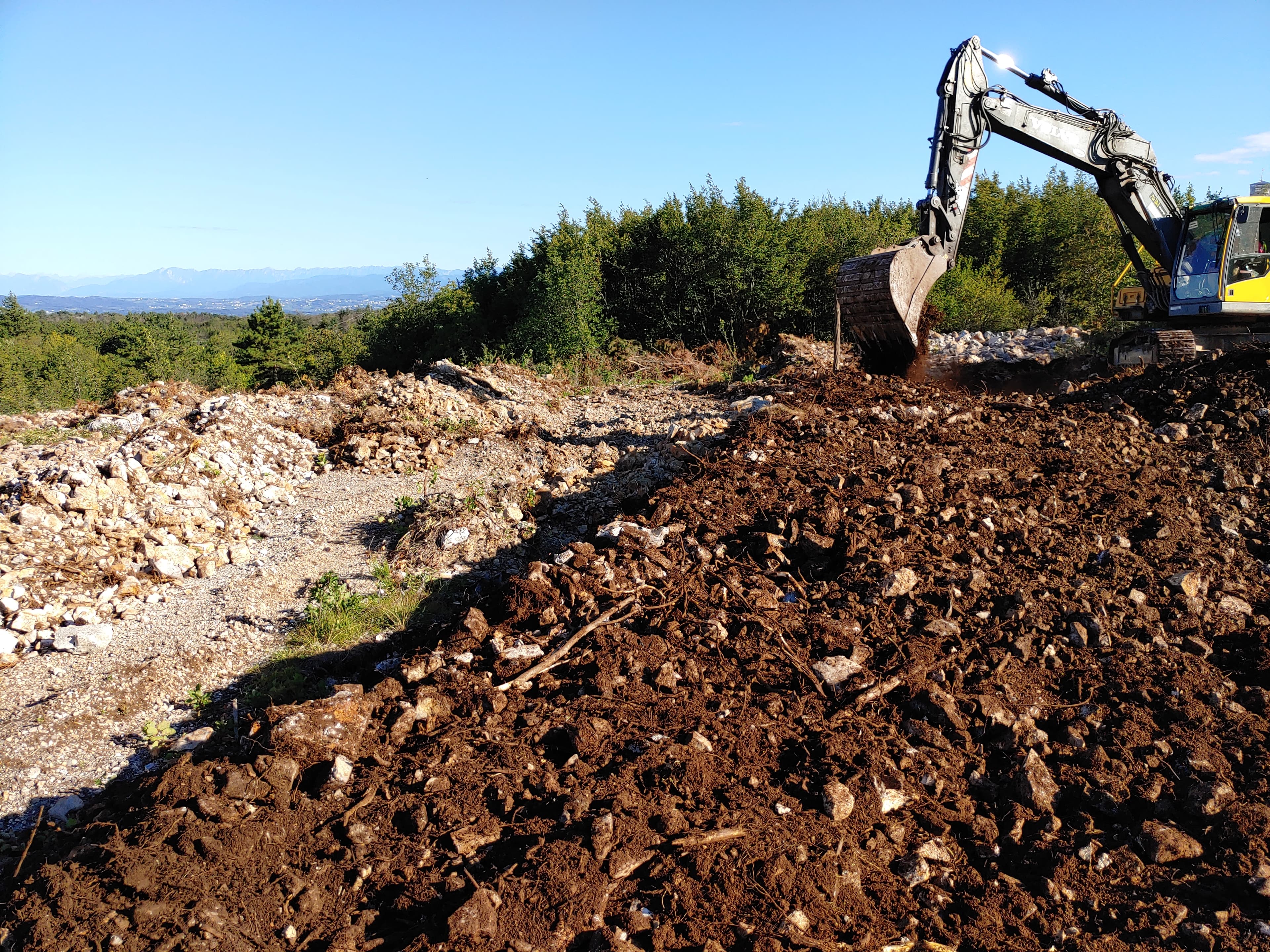 Priprava oljčnika z mehanizacijo.